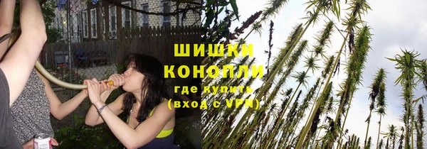 mix Лабытнанги