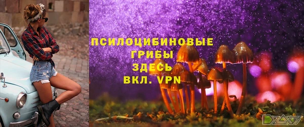 mix Лабытнанги