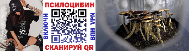 Псилоцибиновые грибы GOLDEN TEACHER Староминская