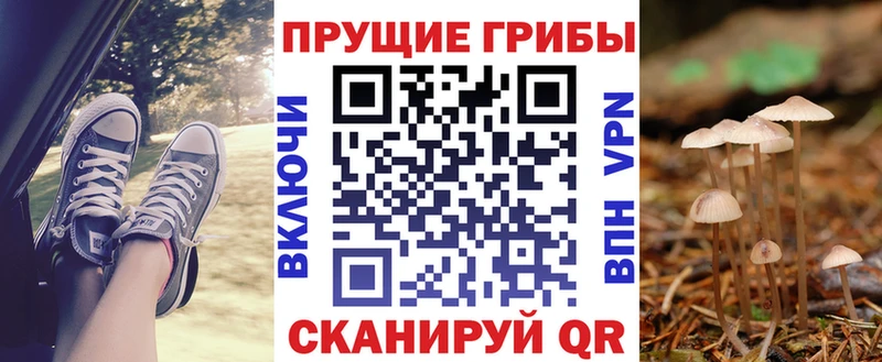 Псилоцибиновые грибы мицелий  Староминская 