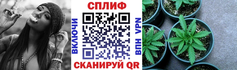 MEGA tor  Староминская  маркетплейс состав  закладки  Бошки Шишки THC 21% 